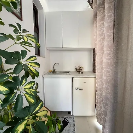 Central Studio For 4 Apartment Tirana